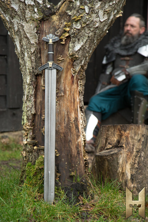 Epée courte Dreki ACIER